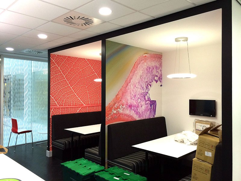 Printing and installing Digital Wallpaper.